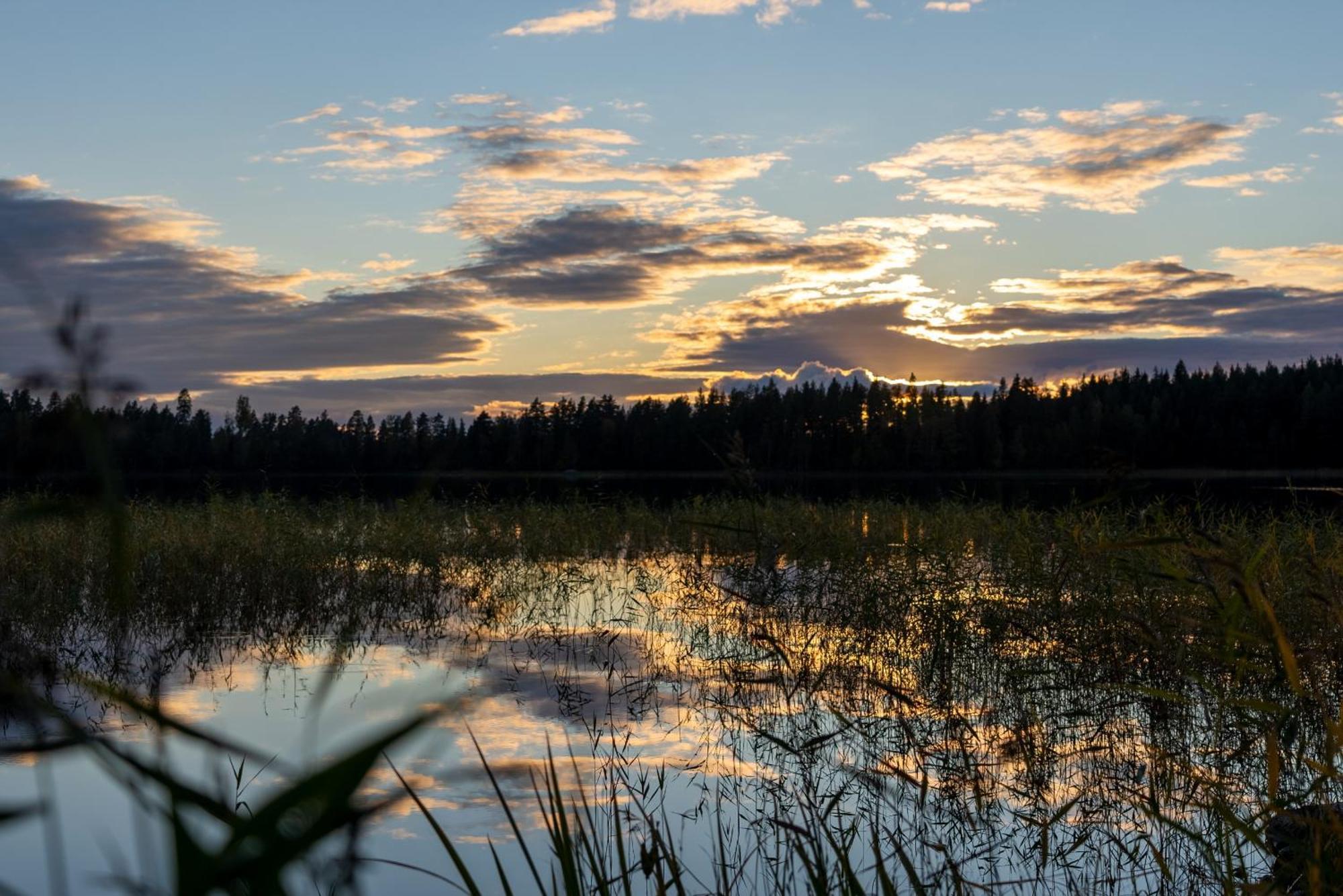 Perinnehirsitalo Війтасаарі Екстер'єр фото